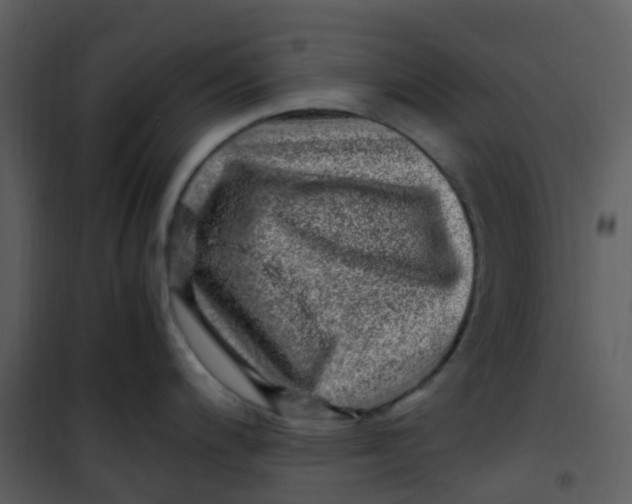 X0000101171200200807181416