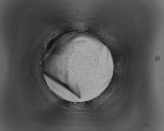X0000101171201200807181415