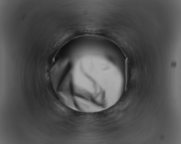 X0000101171202200807181415