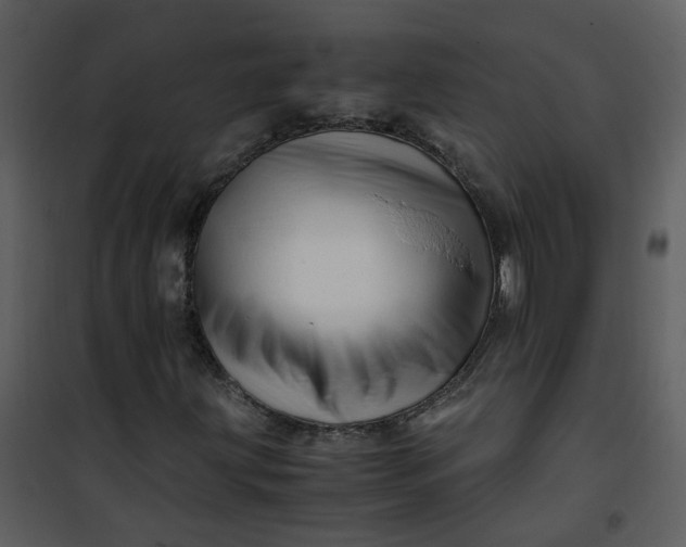 X0000101171203200807181415