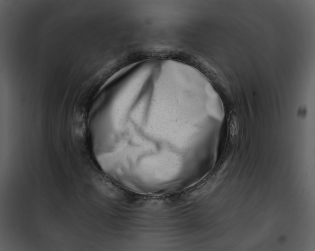 X0000101171204200807181415