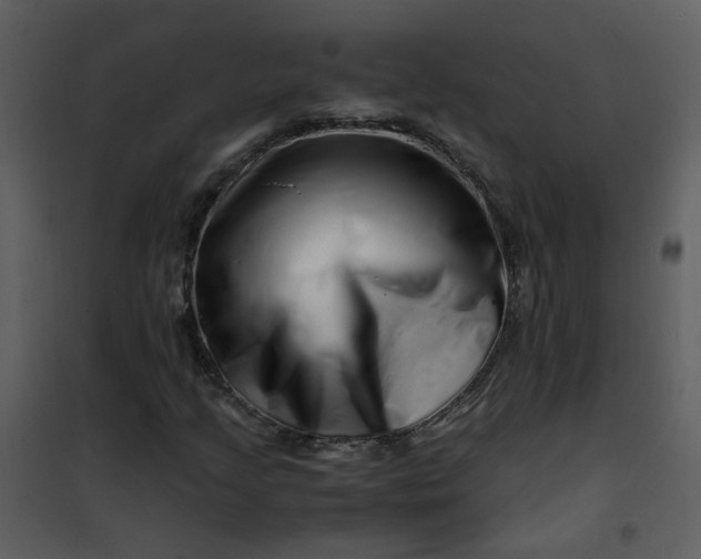 X0000101171205200807181415