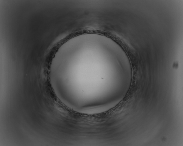 X0000101171207200807181415