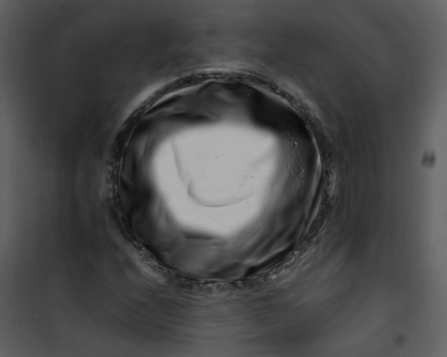 X0000101171208200807181415