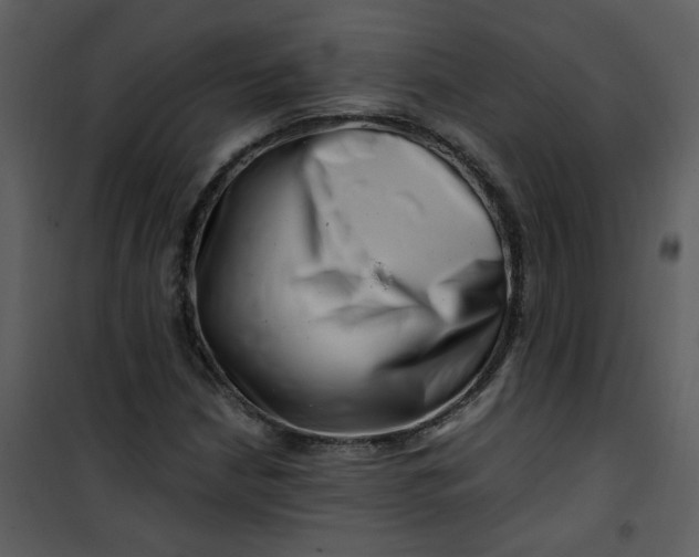 X0000101171210200807181415