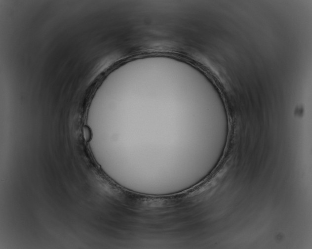 X0000101171211200807181415