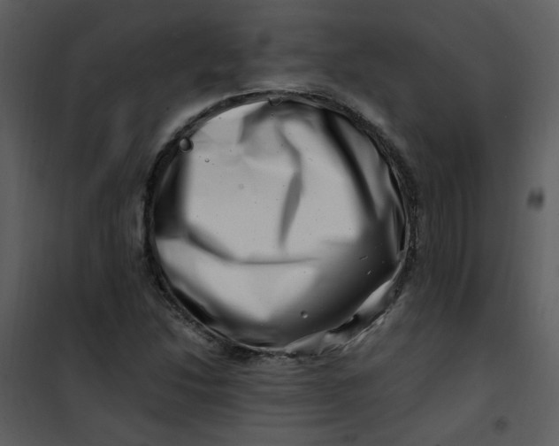 X0000101171214200807181415