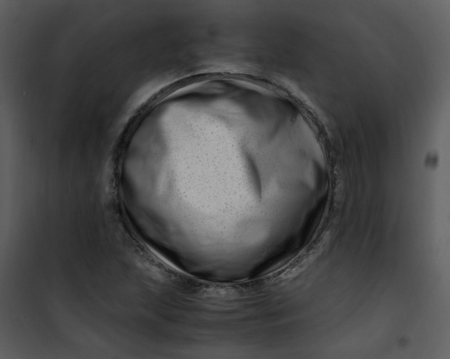 X0000101171215200807181415