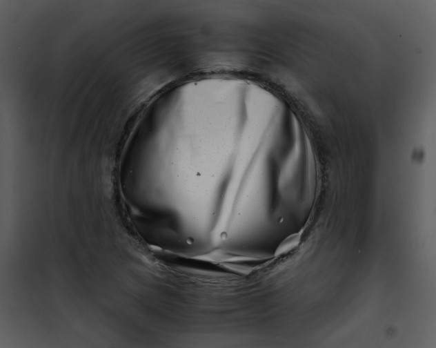 X0000101171217200807181415
