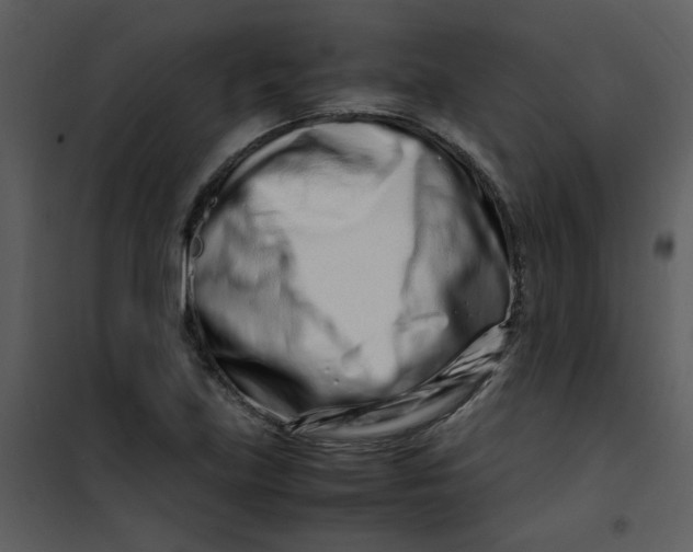 X0000101171219200807181415