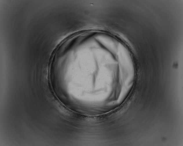 X0000101171220200807181415