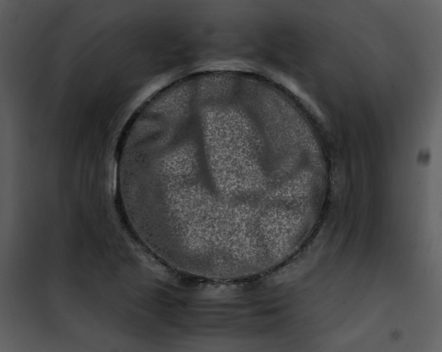 X0000101171221200807181415