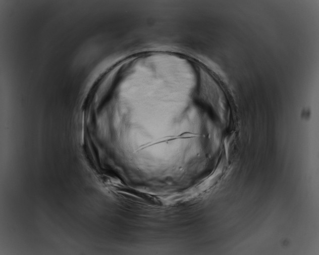X0000101171223200807181415