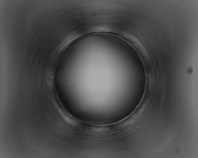 X0000101171225200807181415