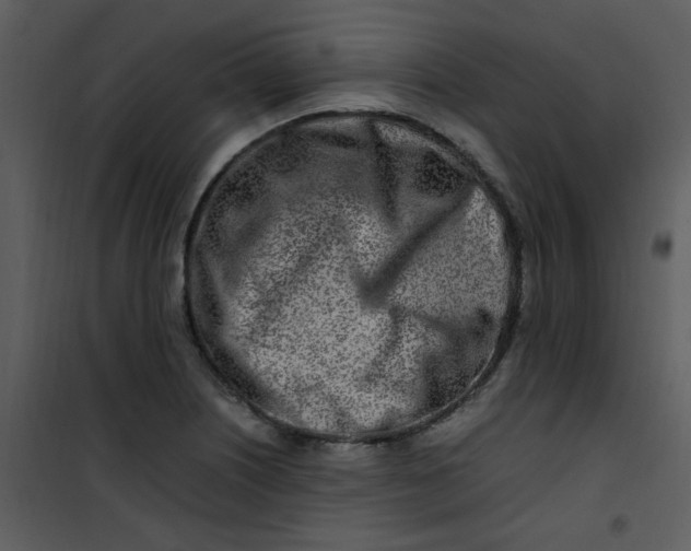 X0000101171226200807181415