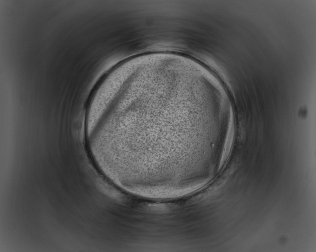 X0000101171227200807181415