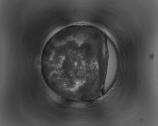X0000101171229200807181415