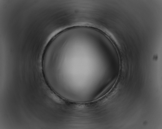 X0000101171230200807181415