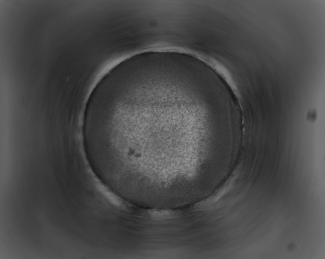 X0000101171231200807181415