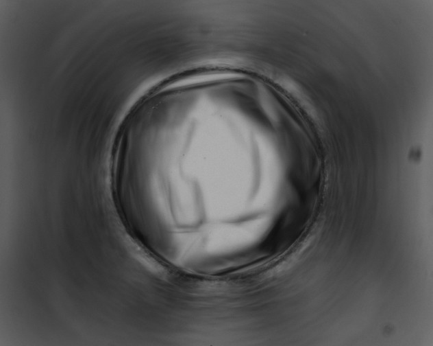 X0000101171232200807181415
