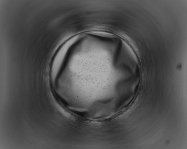 X0000101171235200807181415