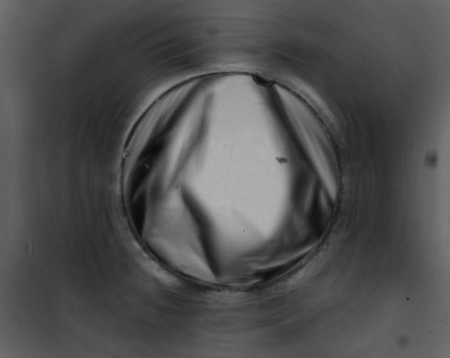 X0000101171236200807181415