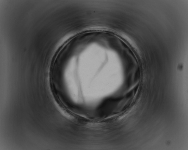 X0000101171237200807181415
