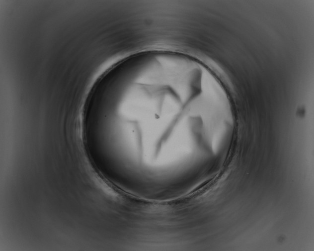 X0000101171238200807181415