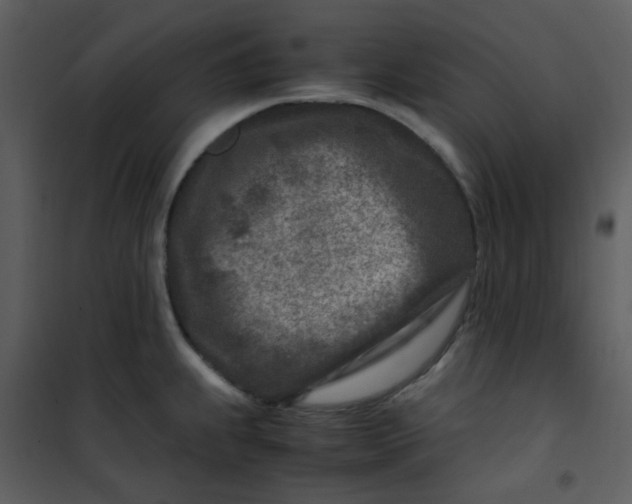 X0000101171239200807181415