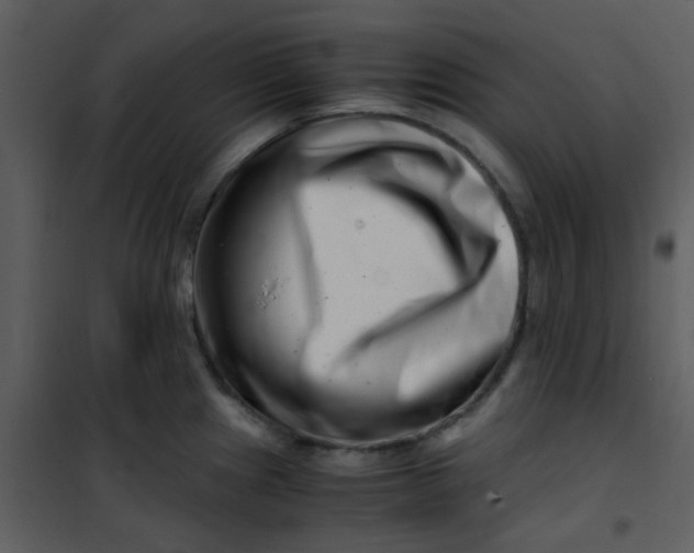 X0000101171241200807181415