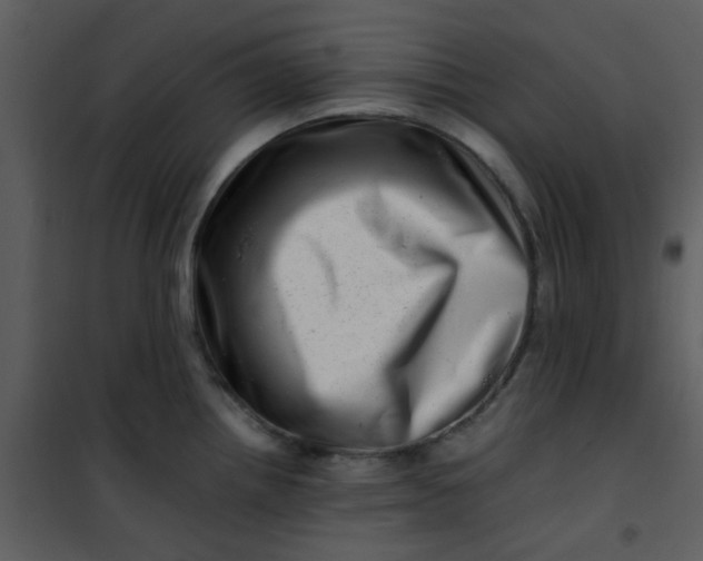 X0000101171242200807181415