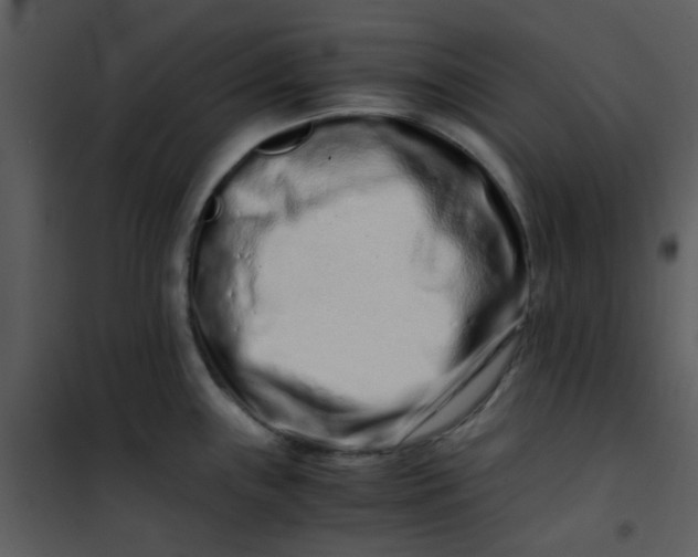 X0000101171243200807181415