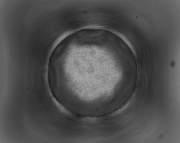 X0000101171245200807181415