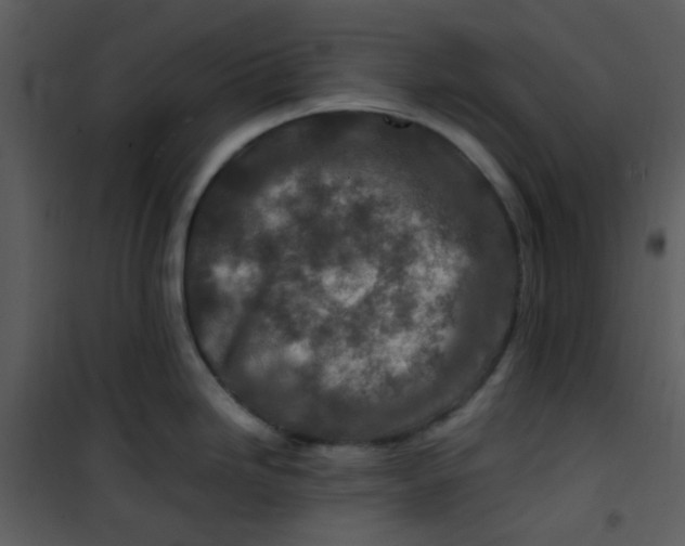 X0000101171246200807181415