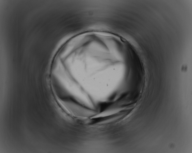 X0000101171248200807181415