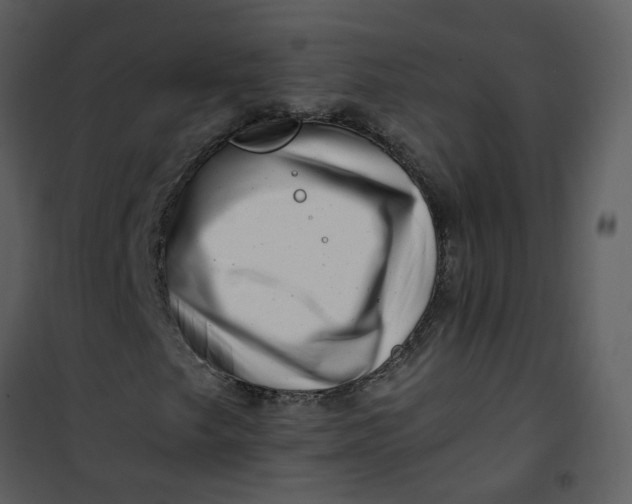 X0000101171249200807181415