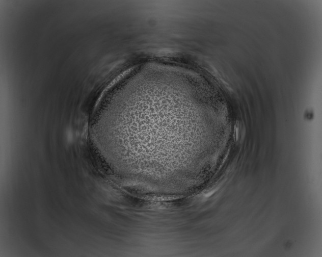 X0000101171251200807181415