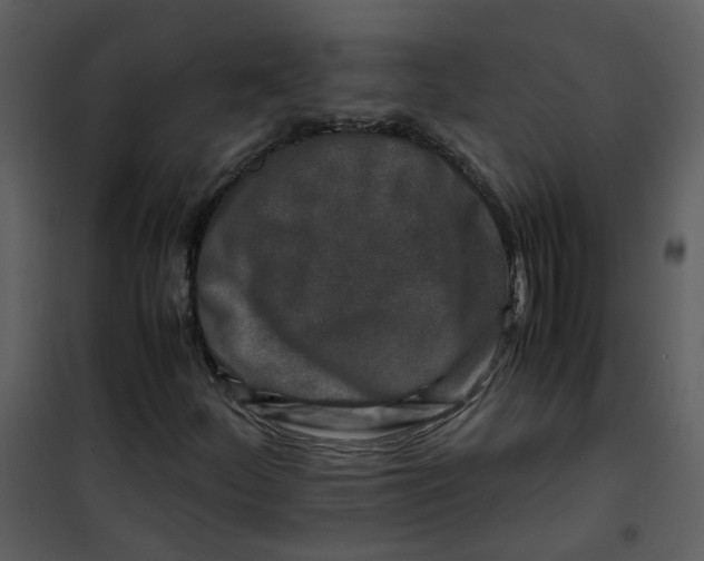X0000101171252200807181415
