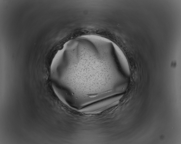 X0000101171253200807181415