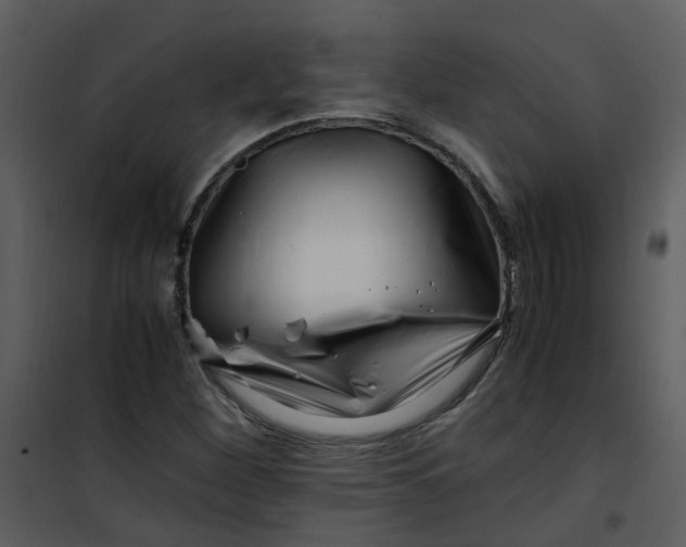 X0000101171260200807181415