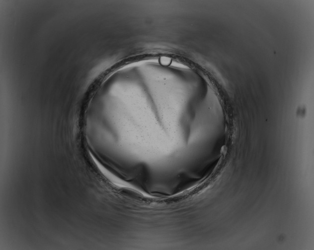 X0000101171261200807181415