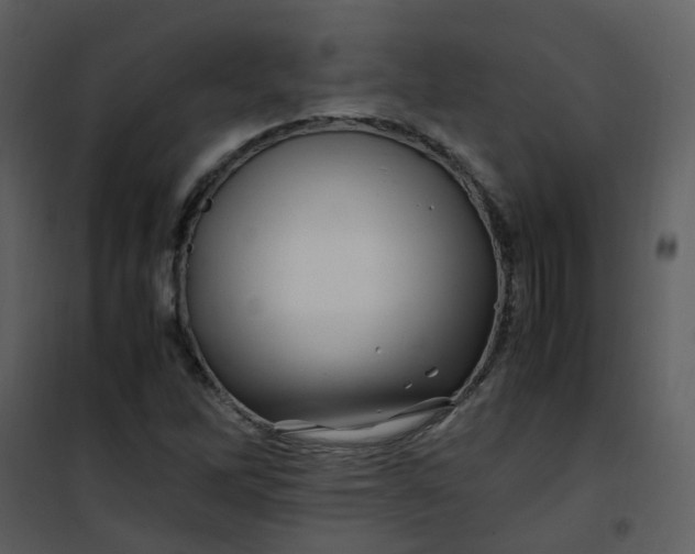 X0000101171262200807181415