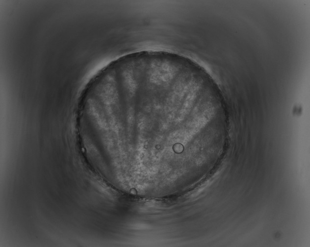 X0000101171263200807181415