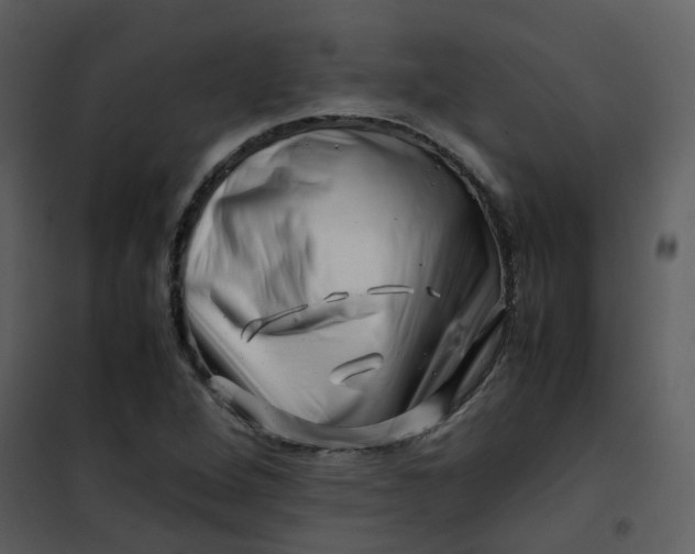 X0000101171264200807181414