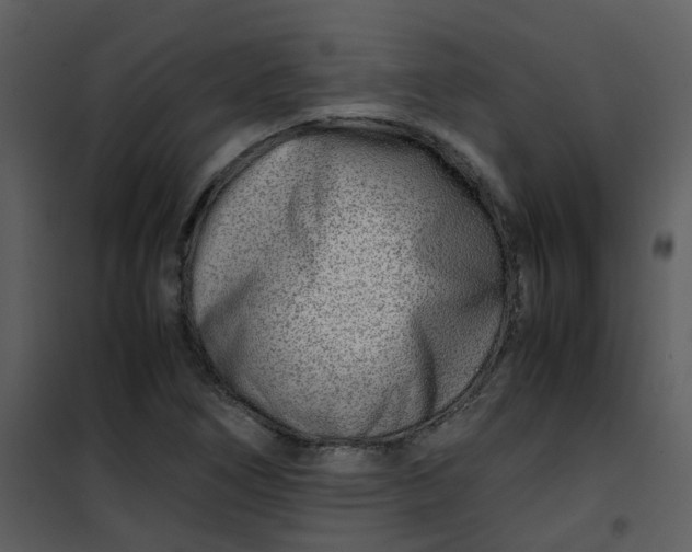X0000101171266200807181414