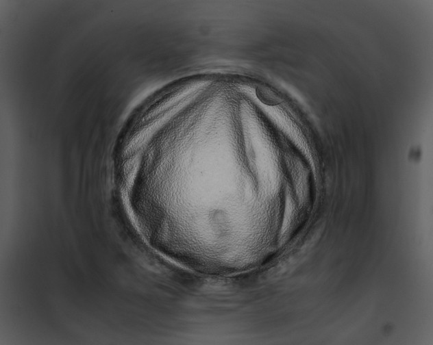 X0000101171267200807181414