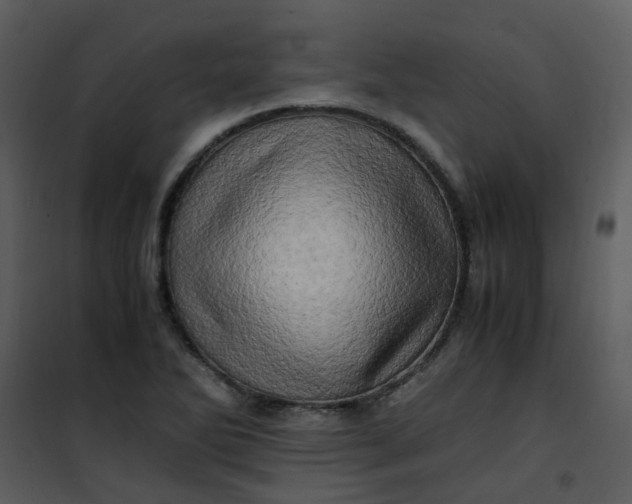 X0000101171270200807181414