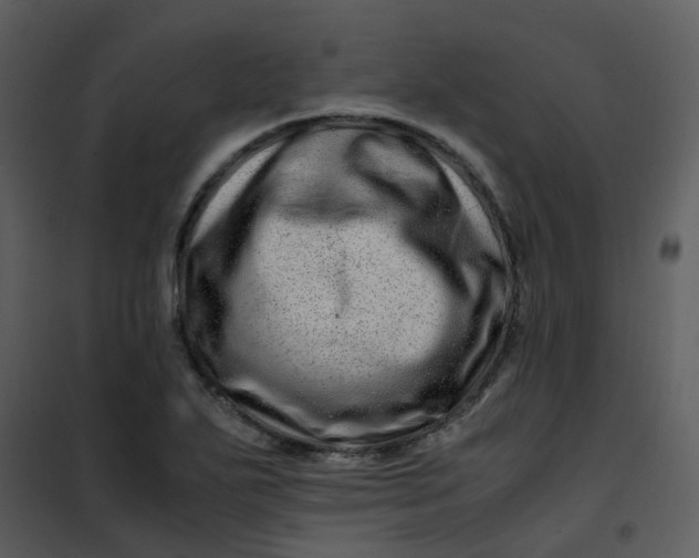 X0000101171271200807181414