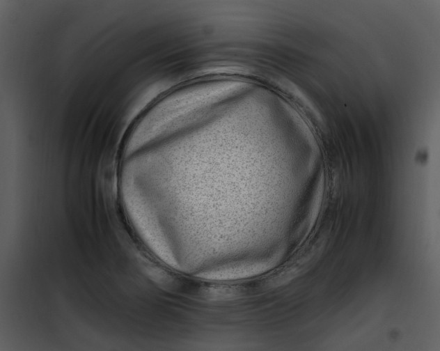 X0000101171274200807181414