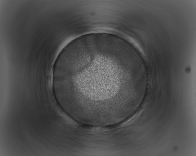 X0000101171275200807181414